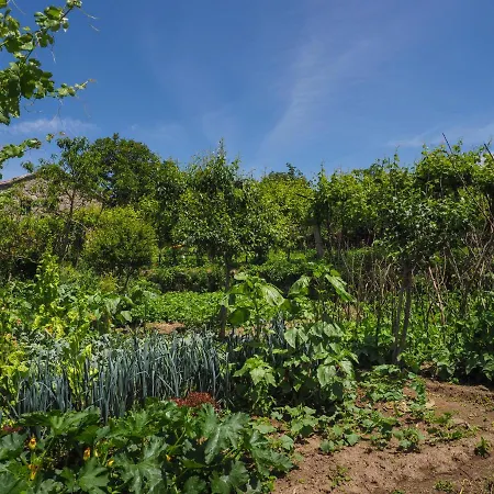 Casa De Pereiro Soajo