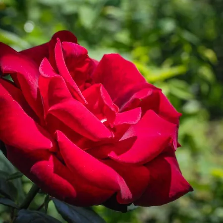 Casa De Pereiro منزل ريفي *