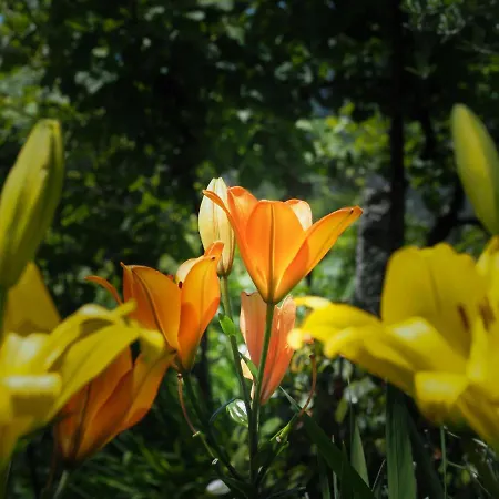 Casa De Pereiro Soajo