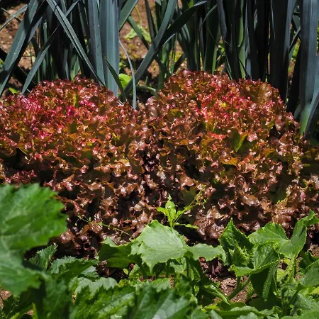 منزل ريفي Casa De Pereiro *