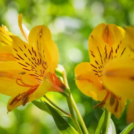 Casa De Pereiro منزل ريفي سواجو