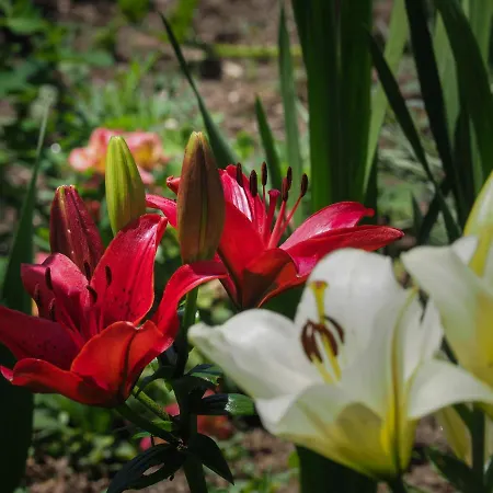 Hétvégi ház Casa De Pereiro *