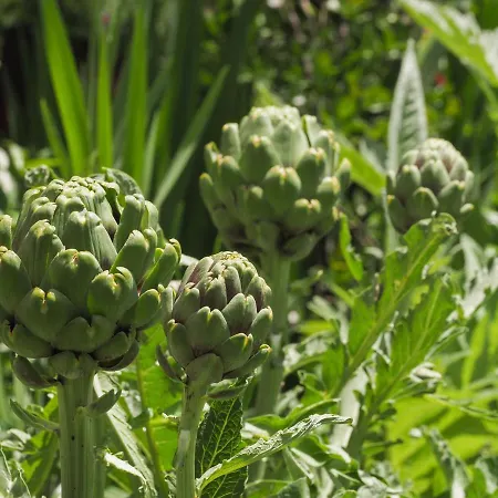 Casa De Pereiro Soajo