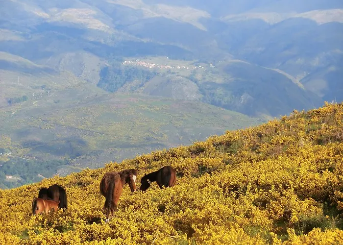 Casa De Pereiro * Soajo