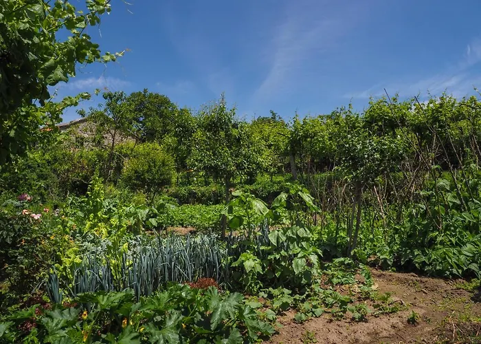 Casa De Pereiro 索茹