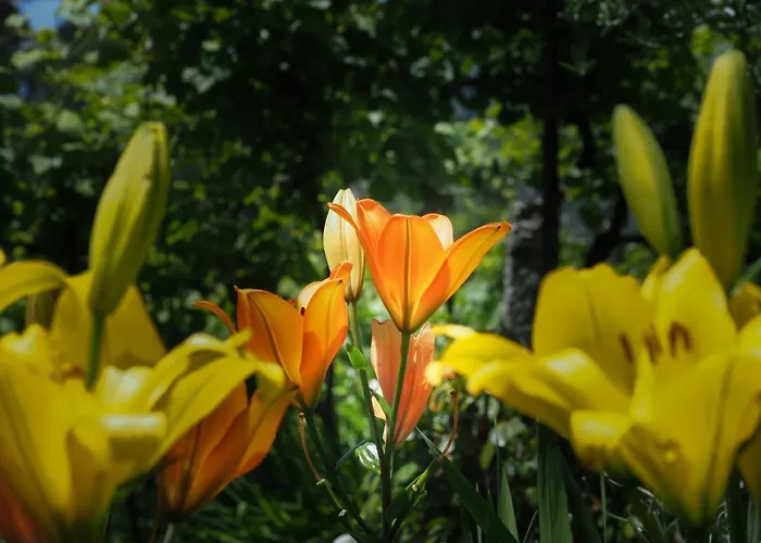 Casa De Pereiro Soajo
