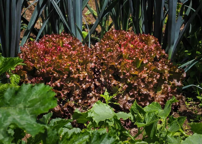 乡村民宿 Casa De Pereiro *