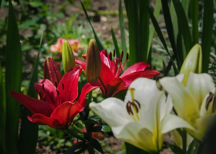 컨트리하우스 Casa De Pereiro *