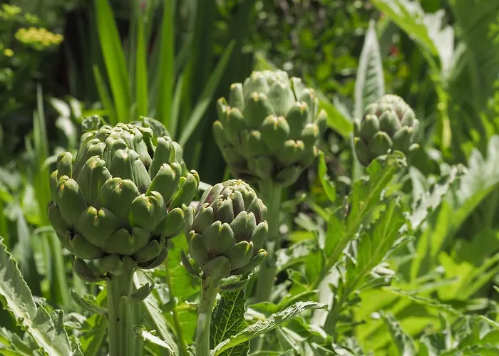 Casa De Pereiró Soajo